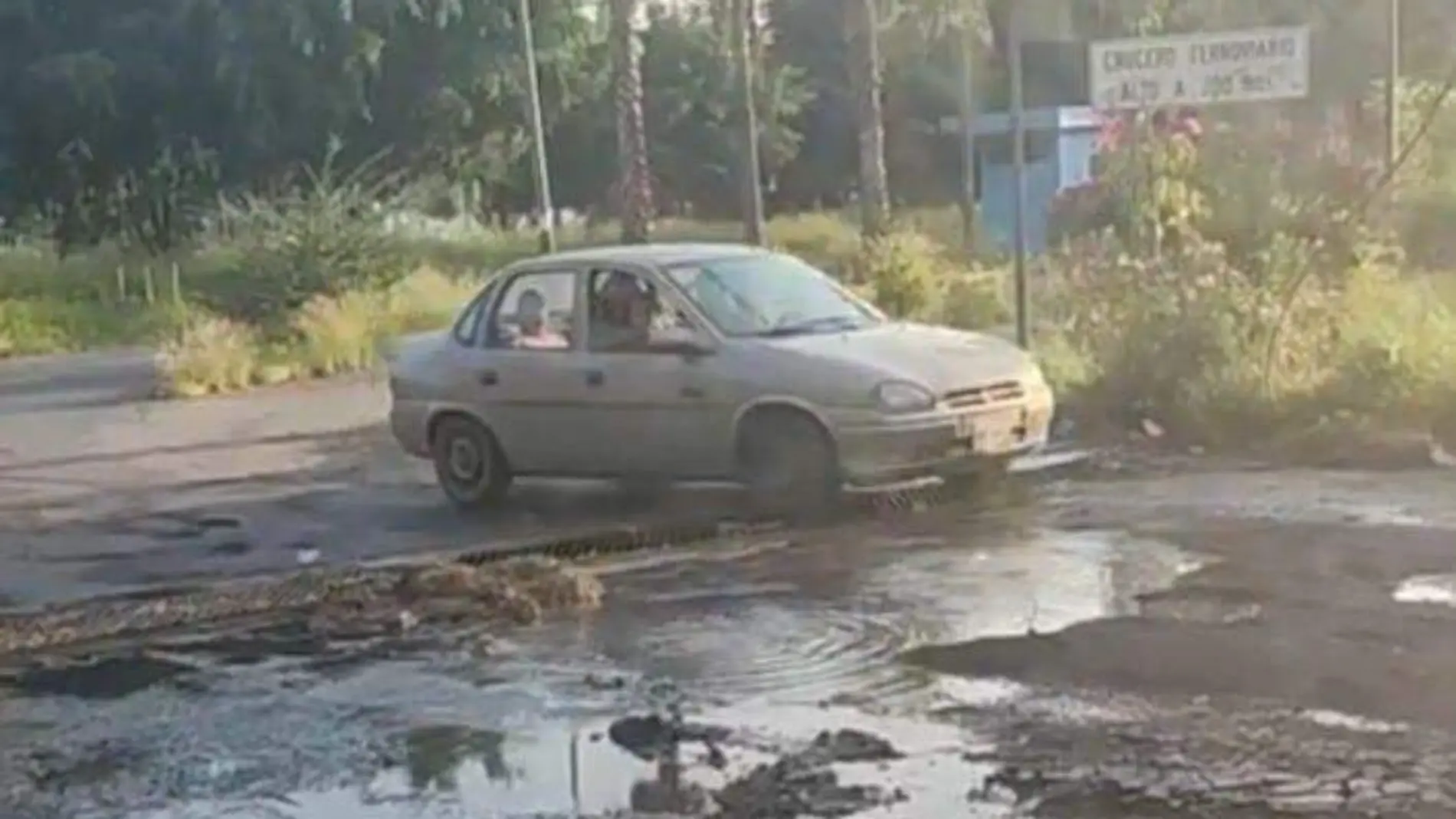 Baches Foto Juan Pablo Toledo